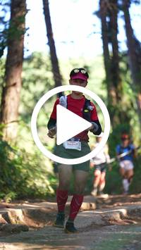 BIB:  <button type="button" onclick="openModal(26788058)" class="btn btn-primary btn-sm float-right" data-toggle="modal" data-target=".modal-high-quality">
                <i class="fa fa-download"></i> Download
                </button>